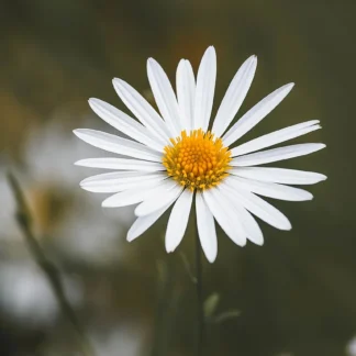 Sesja relaksacyjna stacjonarnie z Katarzyną. Czas trwania: 1 h.