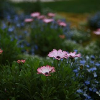 Sesja hipnoterapii stacjonarnie z Agnieszką. Czas trwania: 2 h.
