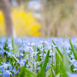 Sesja hipnoterapii stacjonarnie z Katarzyną. Czas trwania: 2 h.